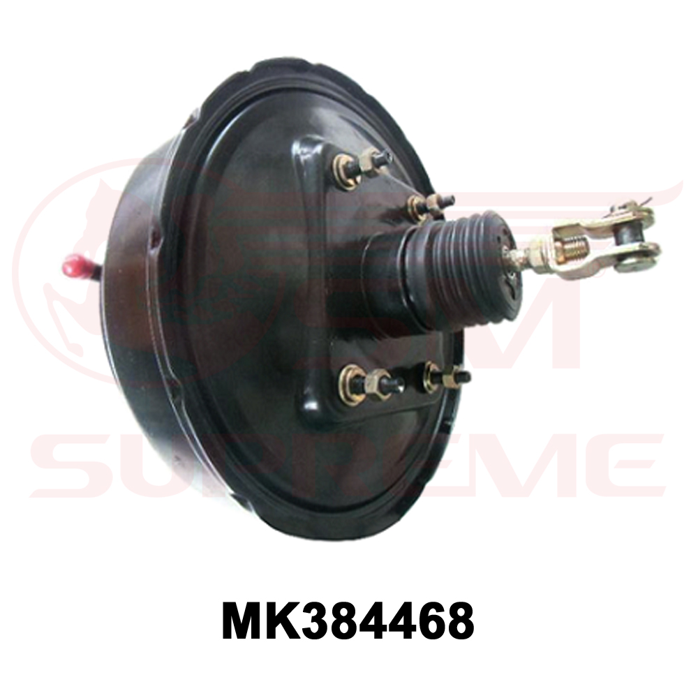 MK384468