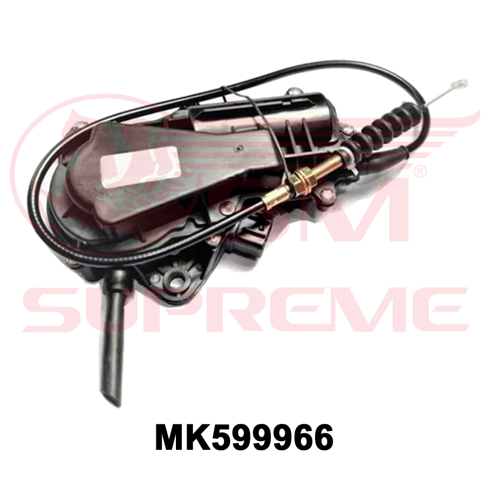 MK599966