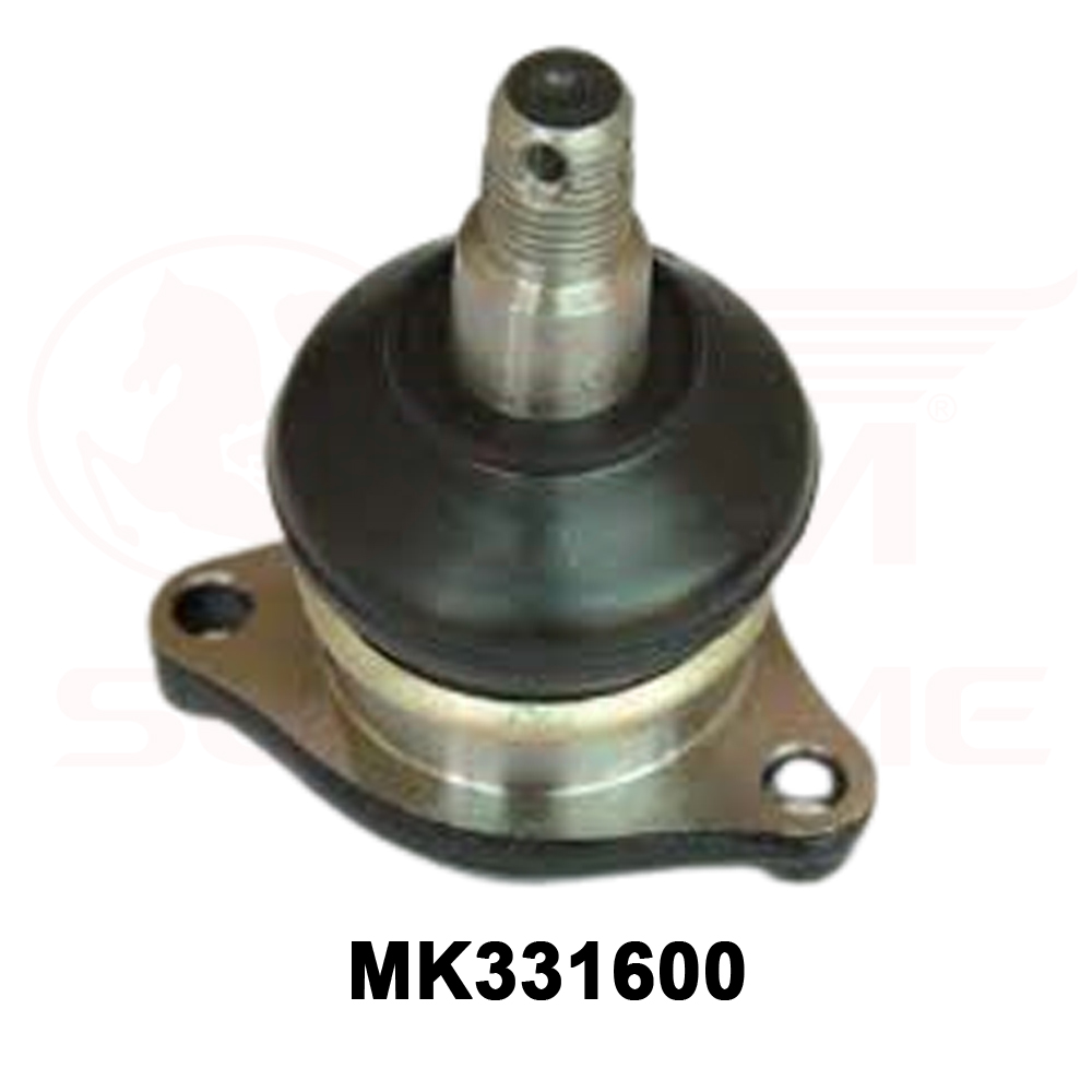 MK331600