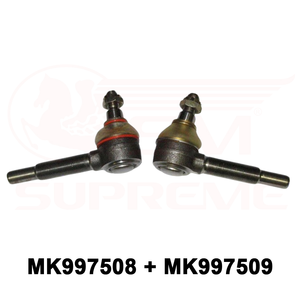 MK997508 + MK997509