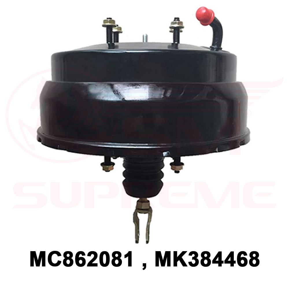MC862081 , MK384468