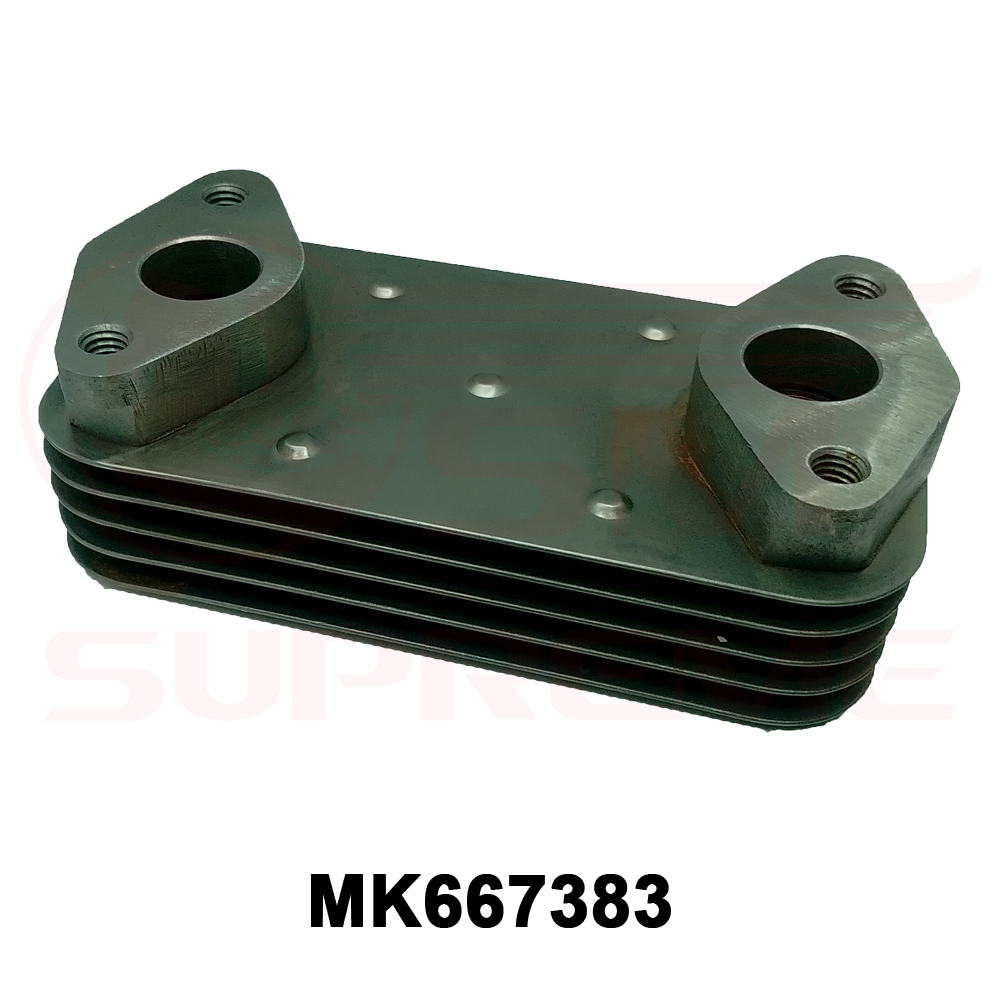 MK667383